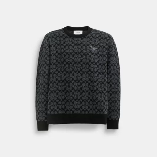 Coach Rexy Sweater Tops Men Black